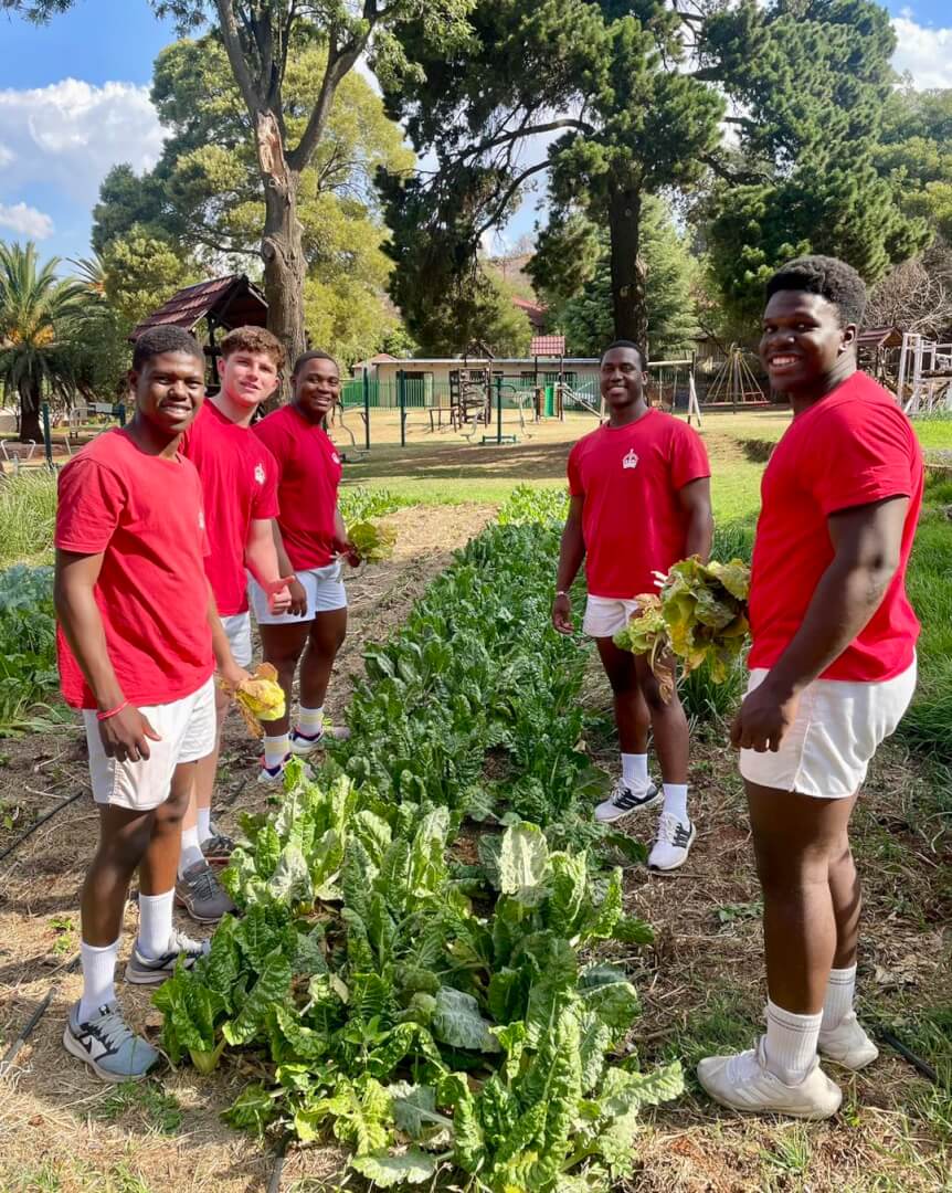 Growing Hope: “The Impact of KES’s campaign on Johannesburg Children’s Homes’ Food Garden”